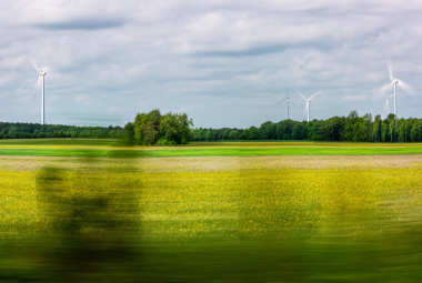 Grünes Feld mit gelben Blumen und Windkraftanlagen unter bewölktem Himmel.