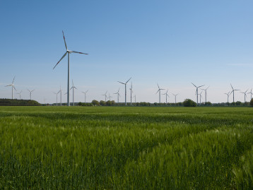Windkraftanlagen stehen in einem grünen Feld unter blauem Himmel.