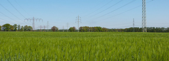 Grünes Feld mit Strommasten und blauem Himmel im Hintergrund.