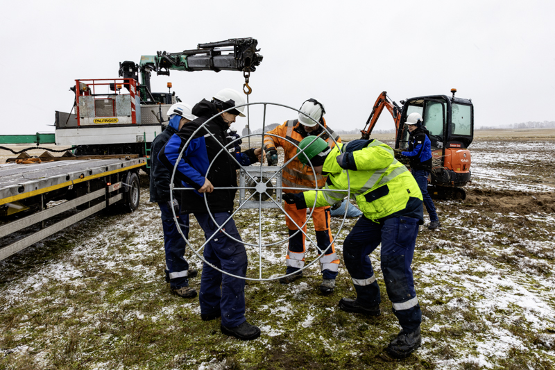 Für die Montage der Nisthilfe am oberen Ende des Ausweichmastes werden viele Hände gebraucht. Foto: WEMAG/Stephan Rudolph-Kramer