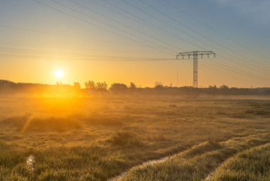 Sonnenaufgang über einer nebligen Wiese mit Strommasten im Hintergrund.
