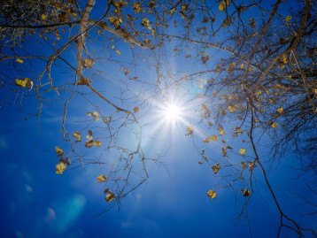 Blick auf einen blauen Himmel mit kahl werdenden Ästen und leuchtender Sonne.