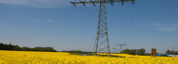 Hochspannungsleitung über einem gelben Rapsfeld unter blauem Himmel.